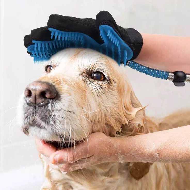 Pet Grooming Gloves