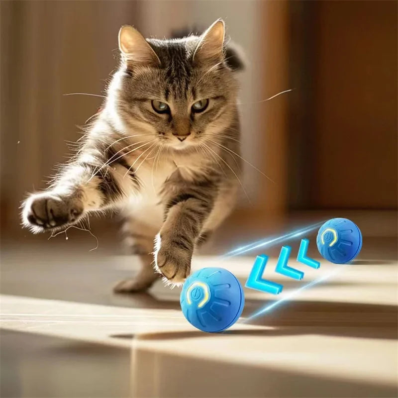Pet Dog Rubber Ball Toys